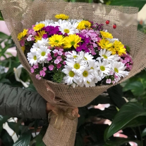  Manavgat Çiçekçi - Karma Kır Çiçekleri