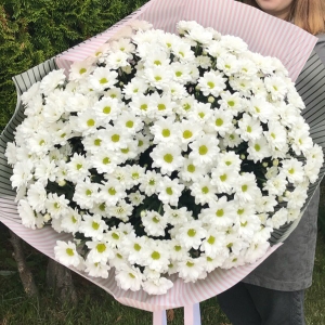  Manavgat Çiçekçiler - 71 Dal Krizantem Buketi