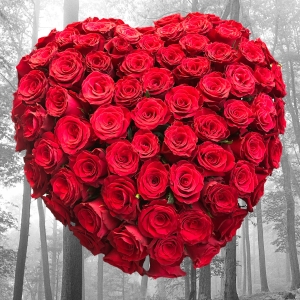  Manavgat Çiçekçiler - 65 Güller Kalp Arajman