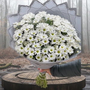  Manavgat Çiçek Siparişi - Beyaz Papatyalar